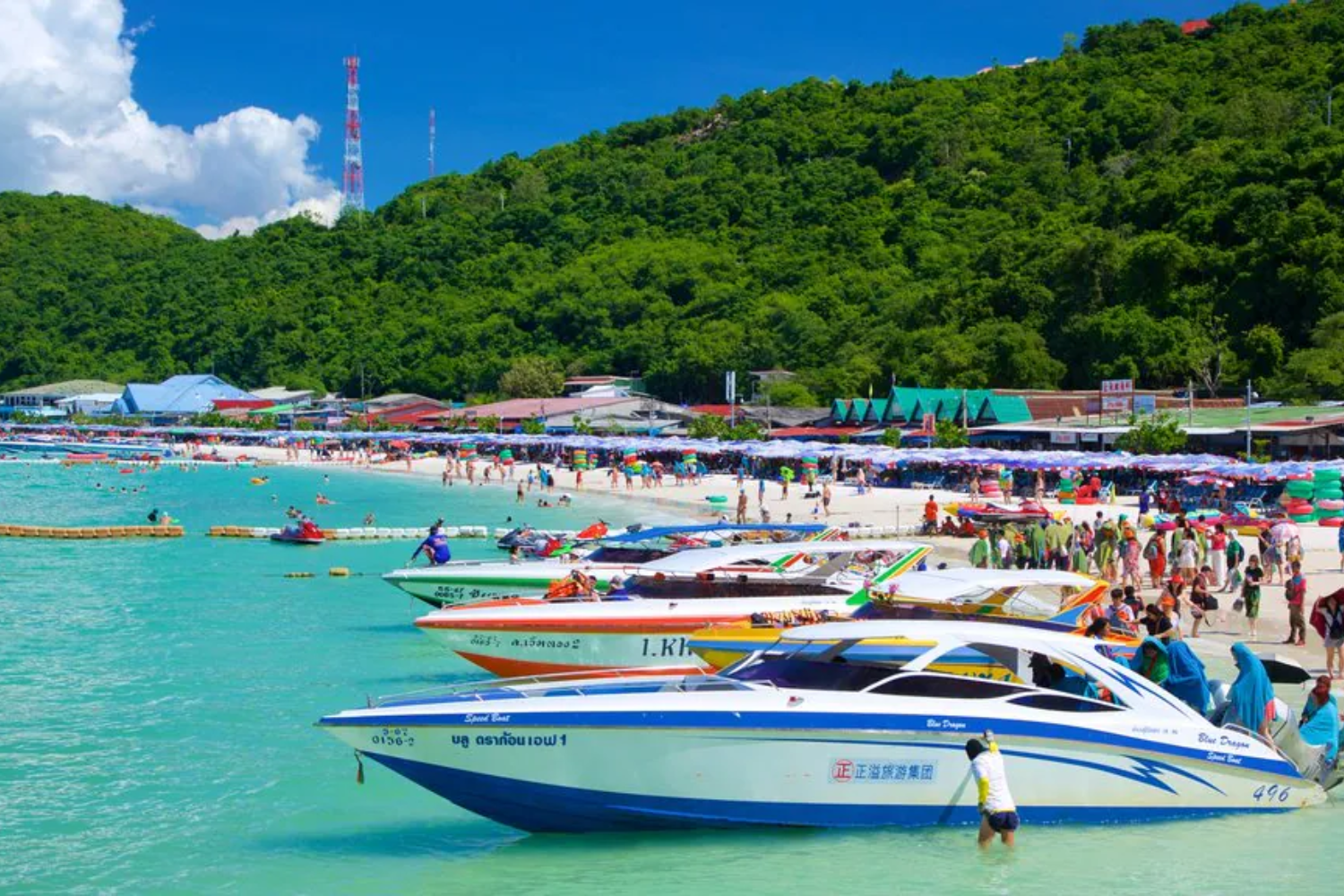 Popular Tours