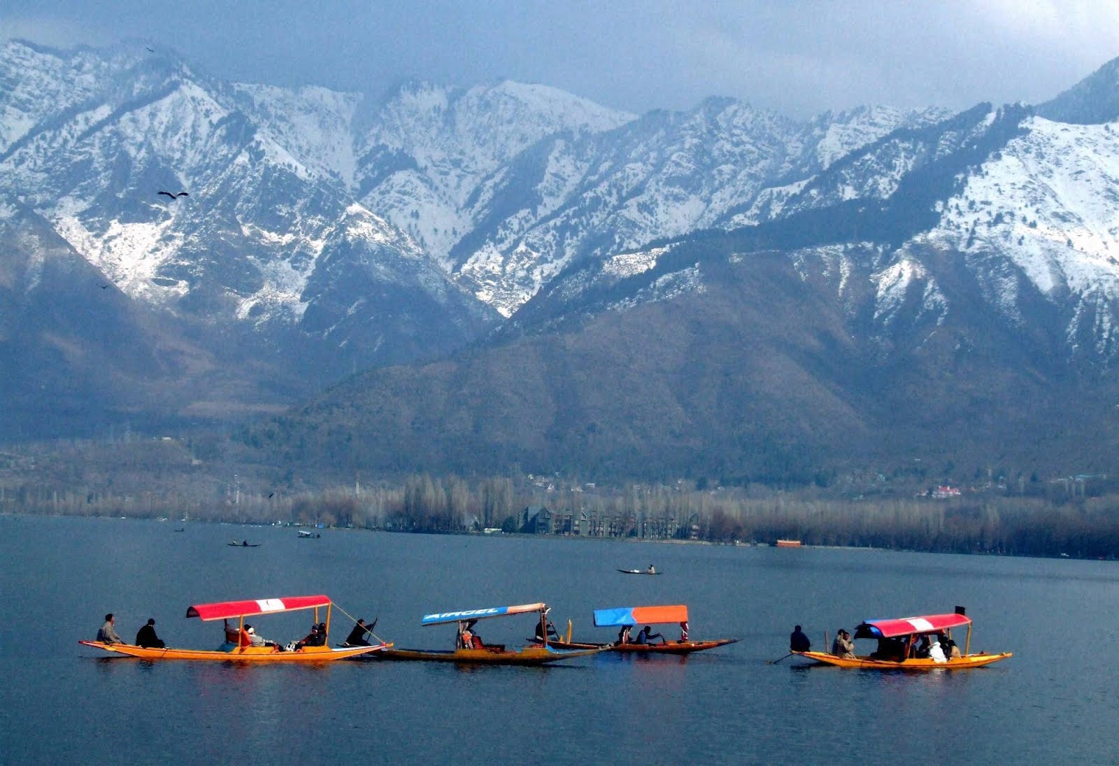 Kashmir tour package for a family with a flight