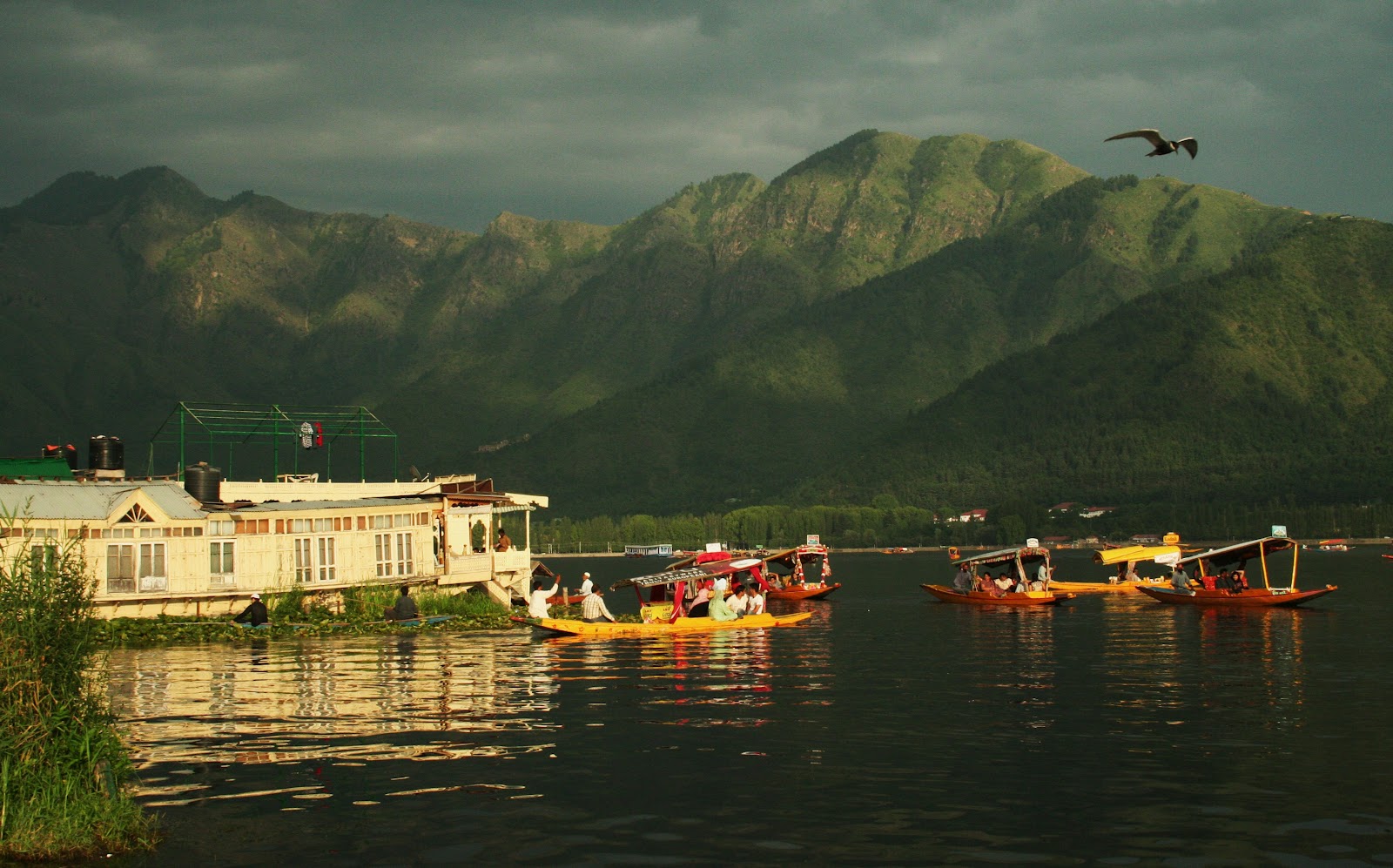 A Romantic Escape: Kashmir Honeymoon Package (3 Nights, 4 Days)