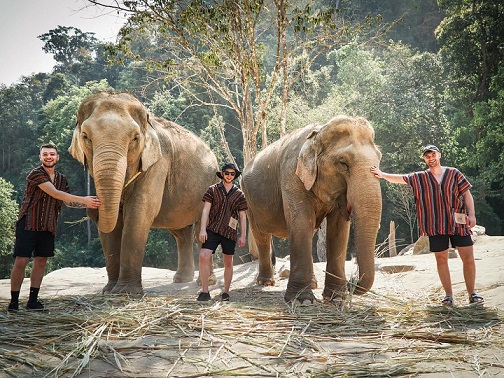 Elephant Safari
